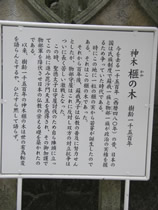 쑷q