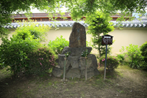 cVV